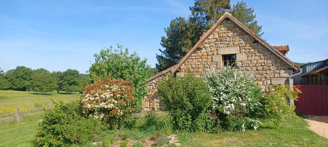 Domaine De Reniere Buxières-les-Mines Exterior foto
